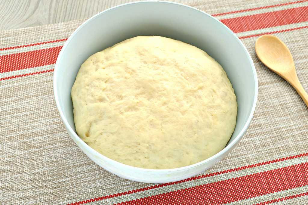 Тесто на молоке для пирожков - 10 рецептов с пошаговыми фото