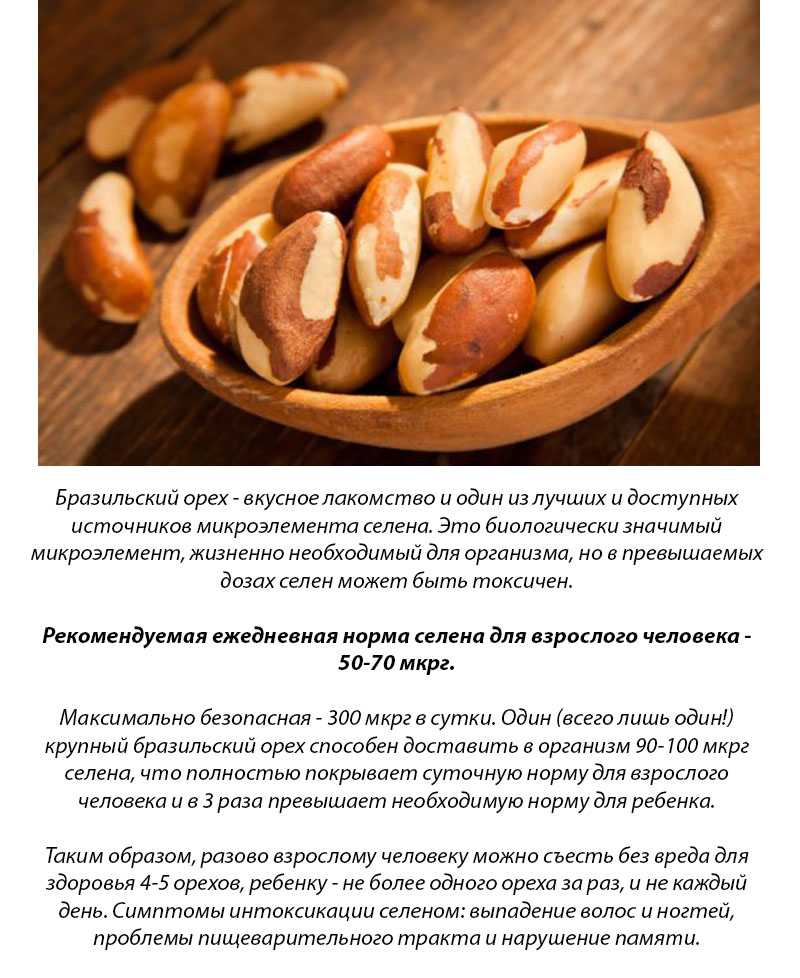 Бразильский орех: польза и вред. три рецепта выпечки | allfor-woman.ru