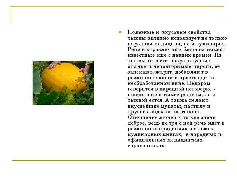 Пюре из печеной тыквы на зиму