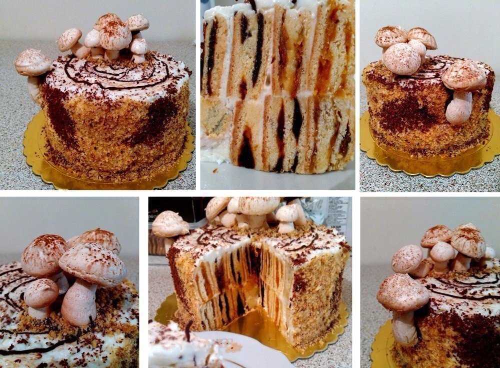 Торт «трухлявый пень» — домашние рецепты вкуснейшего угощения