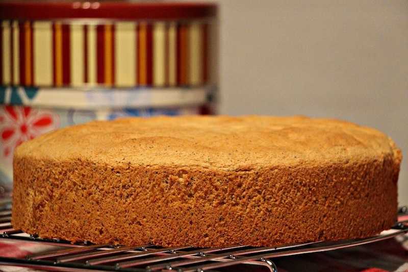 Бисквит для торта пышный и простой. 9 рецептов приготовления в духовке, мультиварке и кастрюле