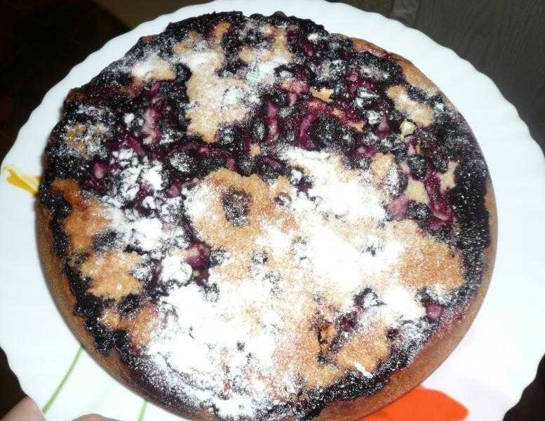 Пирог с черной смородиной: 6 лучших рецептов