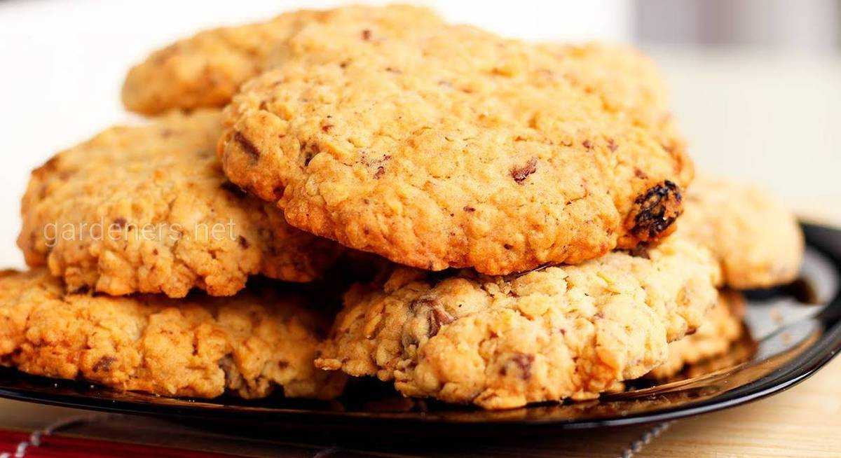 10 самых вкусных рецептов печенья с орехами