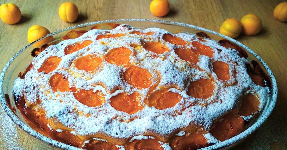Пироги с абрикосами – 11 самых простых и вкусных рецептов приготовления