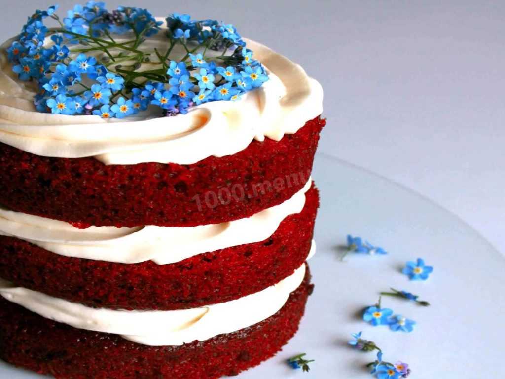 Как приготовить торт «красный бархат» в домашних условиях — 6 оригинальных рецептов