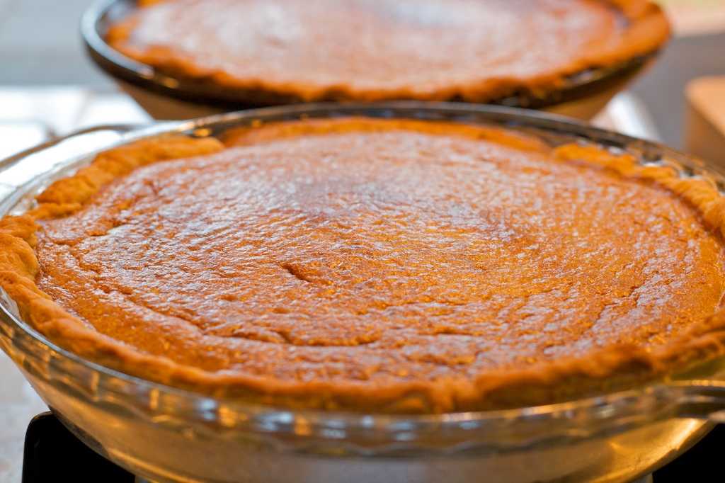 Тыквенный пирог – 8 простых и вкусных рецептов пирога из тыквы в духовке