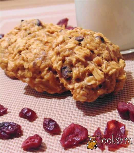 Овсяное печенье домашнее: вкусные рецепты с фруктами, шоколадом, орехами и семечками