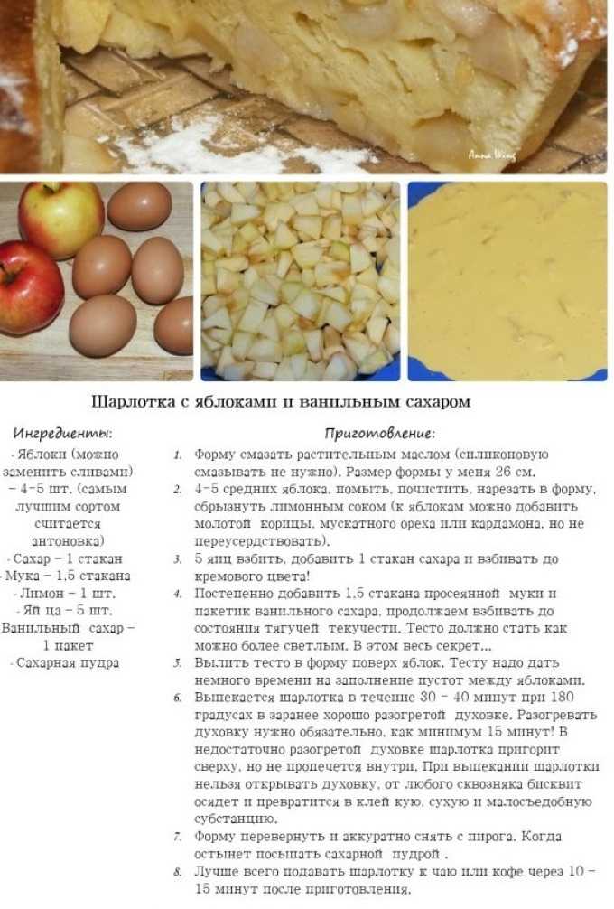 Шарлотка с яблоками в духовке. 13 быстрых и вкусных рецептов пышной шарлотки