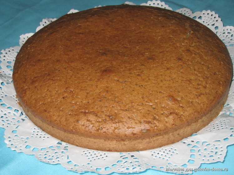 Пышный бисквит и нежный сметанный крем: печем вкусные торты
