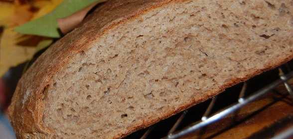 Ржаной хлеб - польза и вред, рецептура приготовления теста на дрожжах, закваске или бездрожжевого